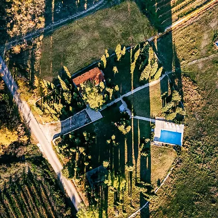 Uros In Nature With Pool