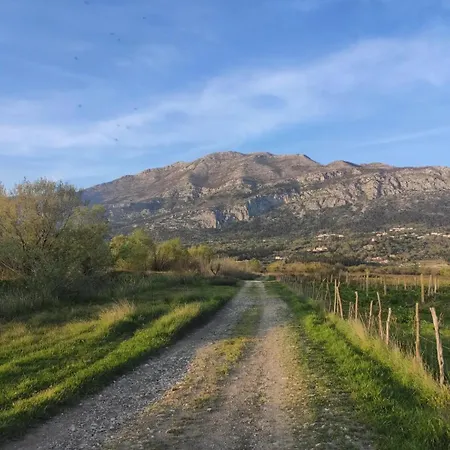 Uros In Nature With Pool