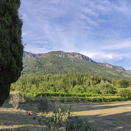 Uros In Nature With Pool Lägenhet *