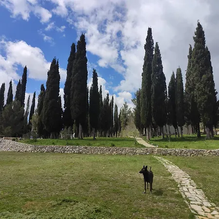 Lägenhet Uros In Nature With Pool *