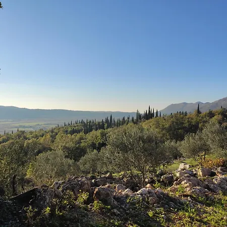 Uros In Nature With Pool *