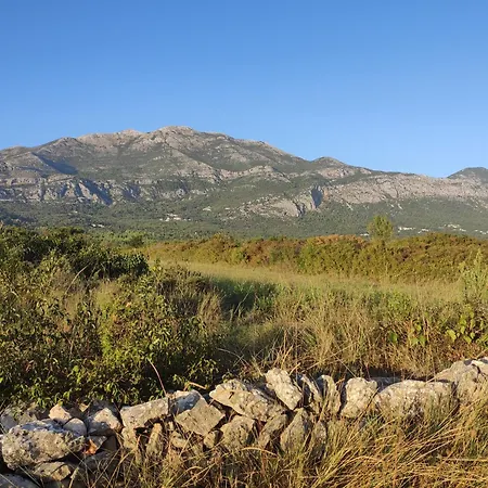 Uros In Nature With Pool Lovorno