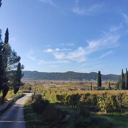 Uros In Nature With Pool *