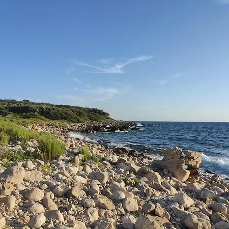Lägenhet Uros In Nature With Pool