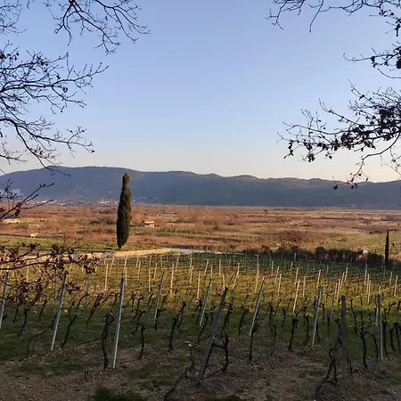 Lägenhet Uros In Nature With Pool *