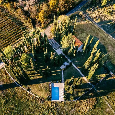 Uros In Nature With Pool *